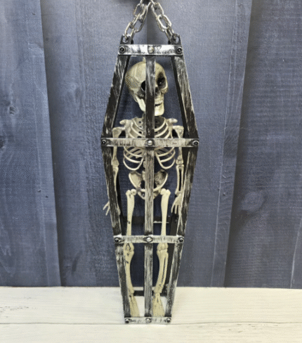Cursed Coffin Skeleton
